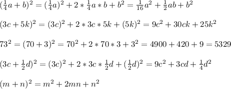 (\frac{1}{4}a+b)^2=(\frac{1}{4}a)^2+2*\frac{1}{4} a*b+b^2=\frac{1}{16}a^2+\frac{1}{2}ab+b^2\\\\(3c+5k)^2=(3c)^2+2*3c*5k+(5k)^2=9c^2+30ck+25k^2\\\\73^2=(70+3)^2=70^2+2*70*3+3^2=4900+420+9=5329\\\\(3c+\frac{1}{2}d)^2=(3c)^2+2*3c*\frac{1}{2}d+(\frac{1}{2}d)^2=9c^2+3cd+\frac{1}{4}d^2\\\\(m+n)^2=m^2+2mn+n^2