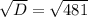 \sqrt{D} = \sqrt{481}