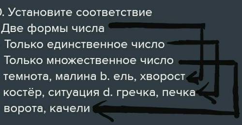 10. установите соответствие 1. две формы числа 2. только единственное число 3. только множественное