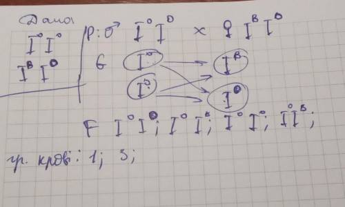 Убатька за системою аво 1 група крові, у матері 3 група. які групи крові можуть бути у їхніх дітей,