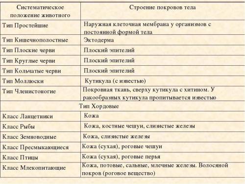 ПЛЗ)) Написать в виде таблицы: 1) Тип животного кишечнополостные, черви, моллюси, членистоногие, хор