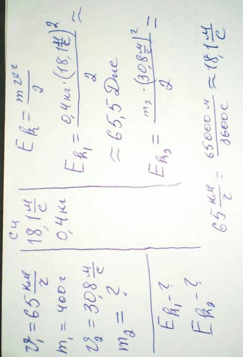 Птица летит со скоростью 65 км /ч (её масса 400 грамм), а гепард бежит со скоростью 30,8 м/с. Опреде