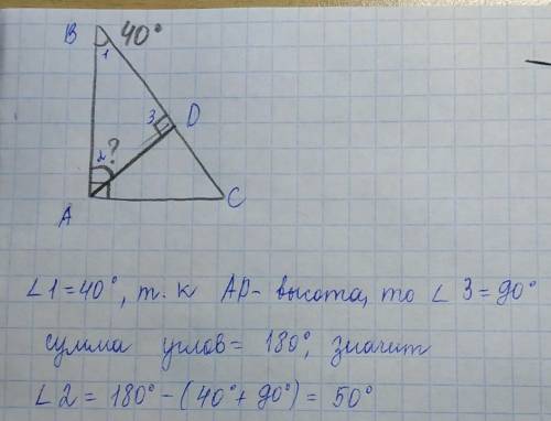 Один острый угол прямоугольного треугольника равен 40 градусам. Найдите угол между высотой и биссект