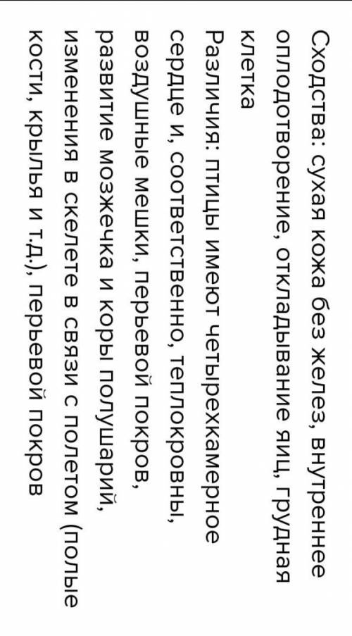 Какие черты сходства и отличия во внутреннем строении птиц и пресмыкающихся