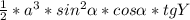 \frac{1}{2} *a^{3} *sin^{2} \alpha *cos\alpha *tgY