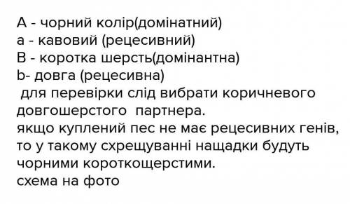 У собак короткая шерсть доминирует над длинной. Охотник купил собаку с короткой шерстью и хочет быть