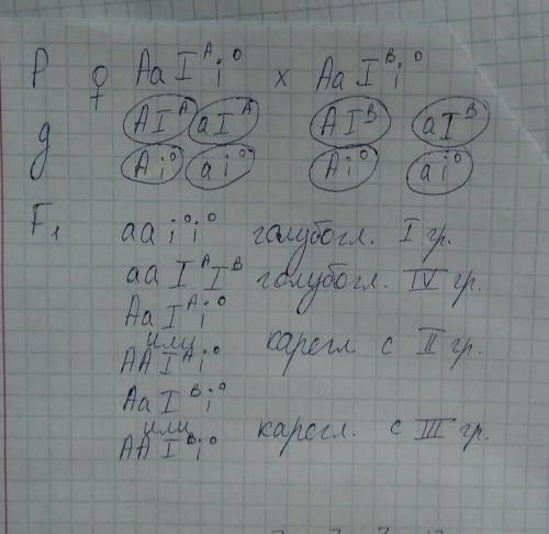 В семье у кареглазых родителей четверо детей. Двое голубоглазых имеют I и IV группы крови, двое каре