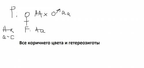 В случае скрещивания чистой линии мышей с коричневой шерстью с чистой линией мышей с серой шерстью п