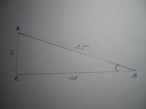 В прямоугольном треугольнике ABC (угол С=90°) катеты BC=7см, AC=24 см. Найти синус, косинуч и танген