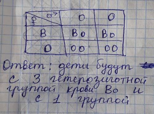 Определите группу крови детей, если родители: 1 группу крови, мать гетерозиготная с 3 группой крови?