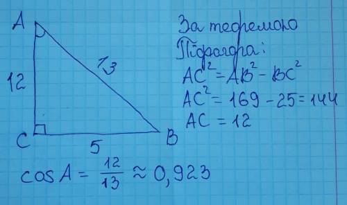 Знайти косинус кута А прямокутного трикутнику АВС з прямим кутом С,якщо ВС=5см,АВ=13 см