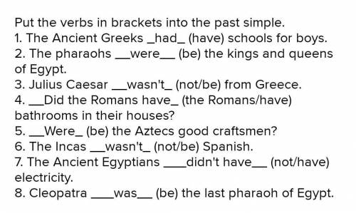 Put the verbs in brackets into the past simple. 1. The Ancient Greeks ________ (have) schools for bo