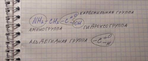 Какая функциональная группа отсутствует в составе аминокислот? А: гидроксогрупа Б: альдегидная групп