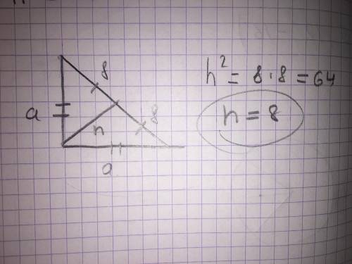 В прямоугольном равнобедренном треугольнике гипотенуза равна 16 см. Определите высоту треугольника,