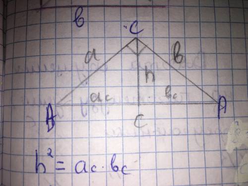 В прямоугольном равнобедренном треугольнике гипотенуза равна 16 см. Определите высоту треугольника,