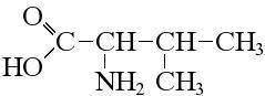 Напишіть структурні формули амінокислот: 2-аміно, 3-метилбутанова кислота;