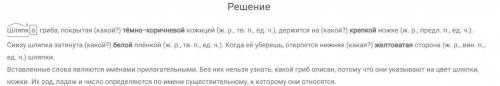 Русский язык 5 класс учебник ладыженской 2 часть упражнение 565 решите быстро