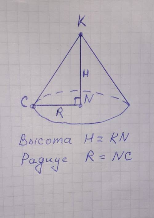 Данный прямоугольный треугольник вращается вокруг стороны KN и образует конус. Отметь правильные вел