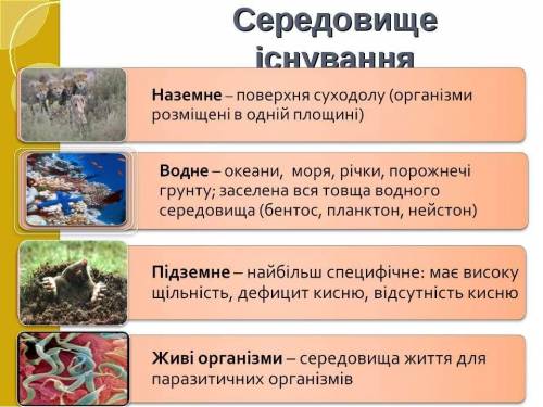 Запишіть 6 прикладів ознаки пристосування організмів до умов середовища.