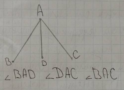 Начертите лучи AB, AC и AD. Запишите названия получен-ных трех углов, сторонами которых являются эти