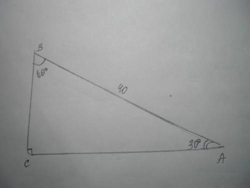 В треугольнике ABC угол C=90 градусов, угол B=60 градусов, AB=40 градусов. найти BC.