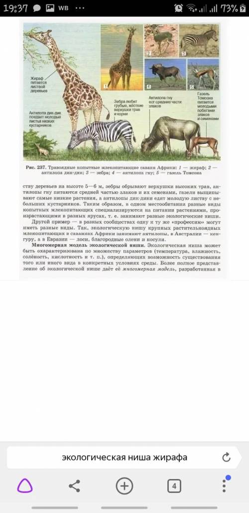 Опишите экологическую нишу для жирафа, указав не менее четырех факторов и ресурсов среды (температур