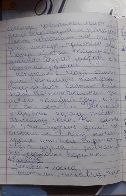 Задание 1. Перепишите текст, раскрывая скобки, вставляя, где это необходимо, пропущенные буквы и зна