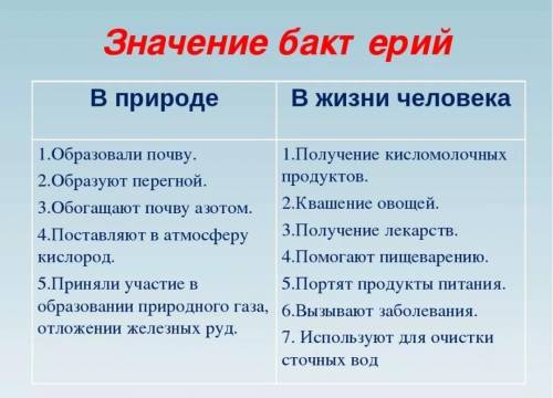 Какое значение бактерий в природе и жизни человека? ответь