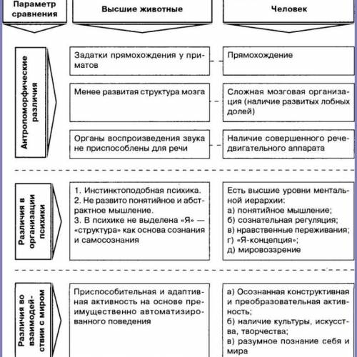 напишите конспект по теме: животные и человек