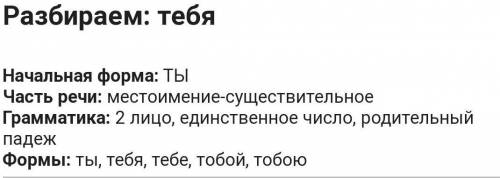 Выполни морфологический разбор выделенных местоимений 1) В СВОЁМ реферате я изложил разные точки зр