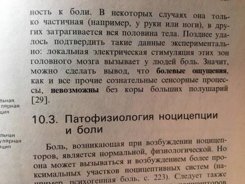 Болевой анализатор. Где находятся рецепторы болевого анализатора? Где находятся высший болевой цент