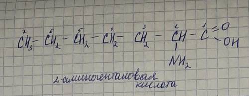 Складіть 3 ізомера до аміногиптанової кислоти