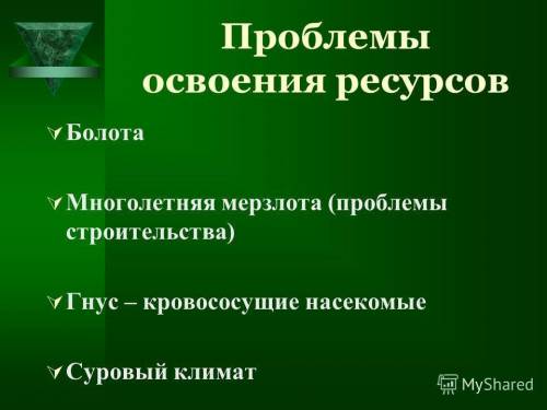 Проблемы при осовении природных ресурсов ( в виде схемы