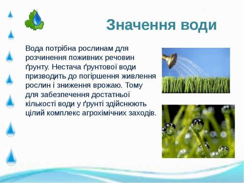 Яке значення має вода для життя рослин і які виробили пристосування до її нестачі?