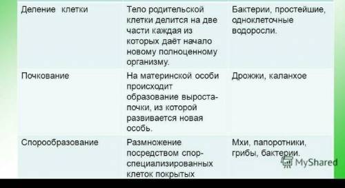 Какие процессы необходимы для образования плодов цветковых растений? написать