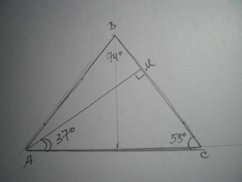 В равнобедренном треугольнике ABC величина угла вершины ∡ B = 74°. Определи угол основания AC с высо