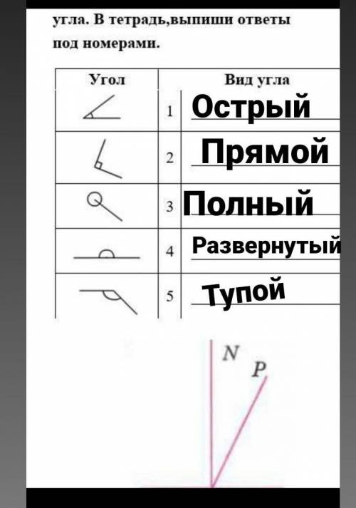 Математика пятый класс Заполните таблицу указав вид угла Вставьте в тетрадь Выпишите ответы под номе