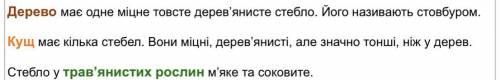 Ознаки дерев,чагарників,трав'янистих рослин