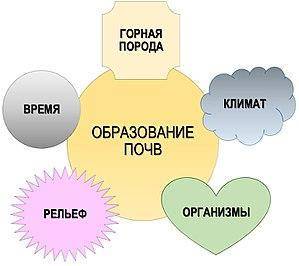 Какие условия влияют на оформления почвы