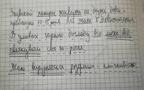 Запиши речення, розставляючи розділові знаки. Визнач вид звертання за будовою Встаньте люди! День сь