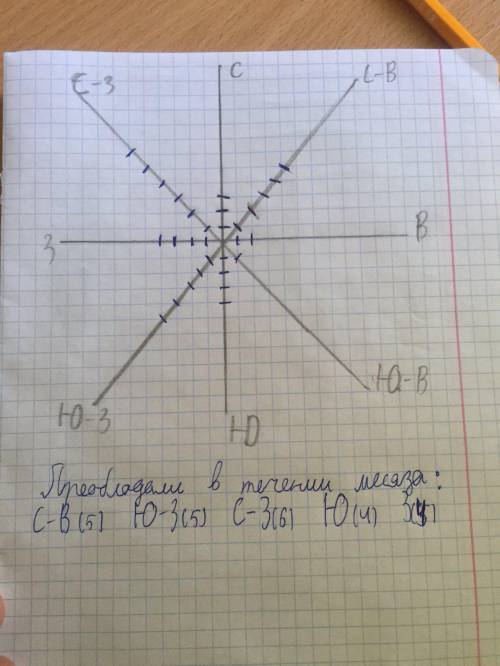 Ребят география 6 класс. Все во в фотографии большое, заранее!​