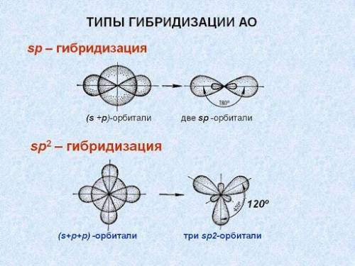 Валентный угол в молекулах с sp2 – гибридизацией равен: а) 109ْ 28 ′ б) 120ْ в) 180ْ г) 360ْ