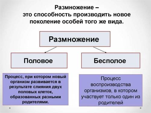 решить тест по биологии срачно нада правильные ответы