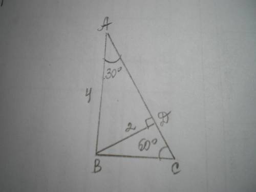В треугольнике ABC угол С = 60 градусов, угол В = 90 градусов. Высота BD = 2 см. Найти АВ.