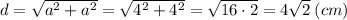 d=\sqrt{a^2+a^2}=\sqrt{4^2+4^2}=\sqrt{16\cdot 2} =4\sqrt{2} \: (cm)