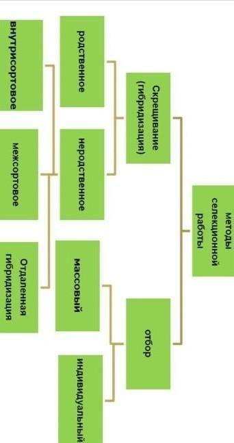 Схемы ''процесс селекции животных и процесс селекции растений нужна схема​