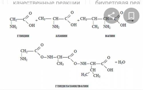 ОЧЕНЬ Напишите формулу трипептида, состоящего из незаменимых аминокислот. Назовите его.