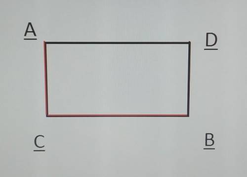 1224. Начертите прямоугольник ABCD, соедините точки А и С. Проведи-те через точку В прямую, перпенди