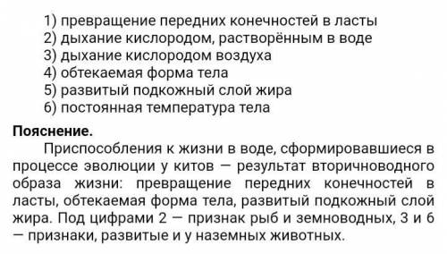 Все приведенные признаки, кроме двух, испольуют для описании тюленей. Выберите две характеристики,