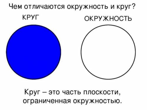 Чем различаются окружность и круг